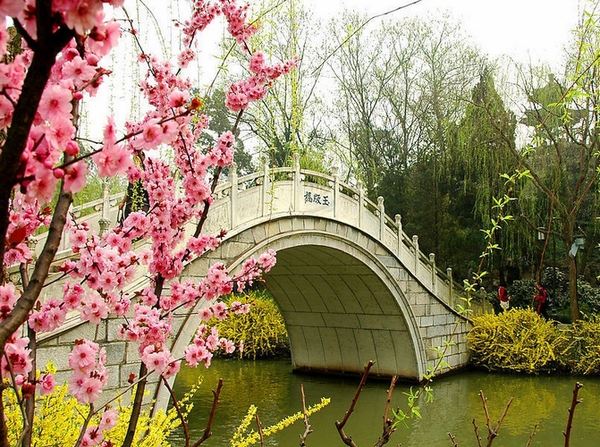 43220058999920120223090622 43220058999920120223090622