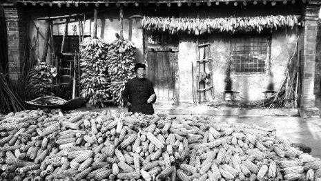 陕西现“上门女婿村”:79%成年男性外出入赘