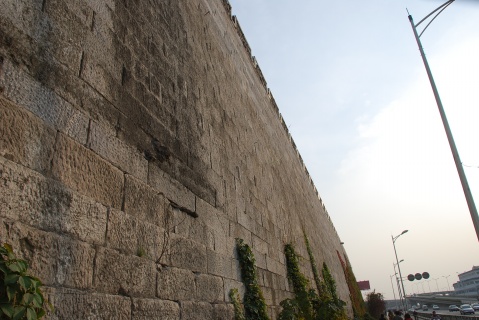 3983152395432895184 3983152395432895184