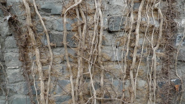 0018LUzLgy6QE66jaJ117&690 0018LUzLgy6QE66jaJ117&690