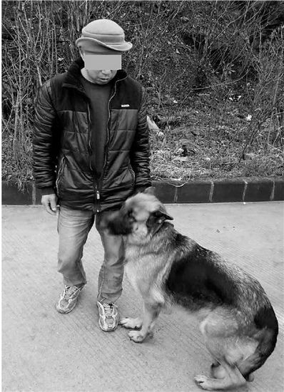 男子会“汪星语” 几句暗语“忽悠”走万元名犬 男子会“汪星语” 几句暗语“忽悠”走万元名犬