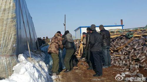 事故现场图 事故现场图