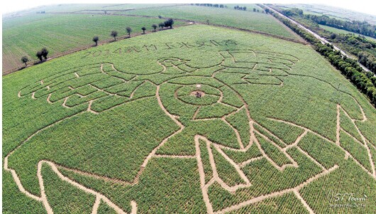 21c96659-a914-4644-b71b-9ae88dbca97e 21c96659-a914-4644-b71b-9ae88dbca97e