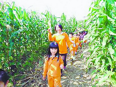 W020130129347450469924 W020130129347450469924