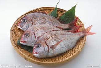 u=1793180747,2212780068&fm=21&gp=0 u=1793180747,2212780068&fm=21&gp=0