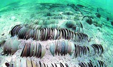 u=3182152491,3758652003&fm=21&gp=0 u=3182152491,3758652003&fm=21&gp=0