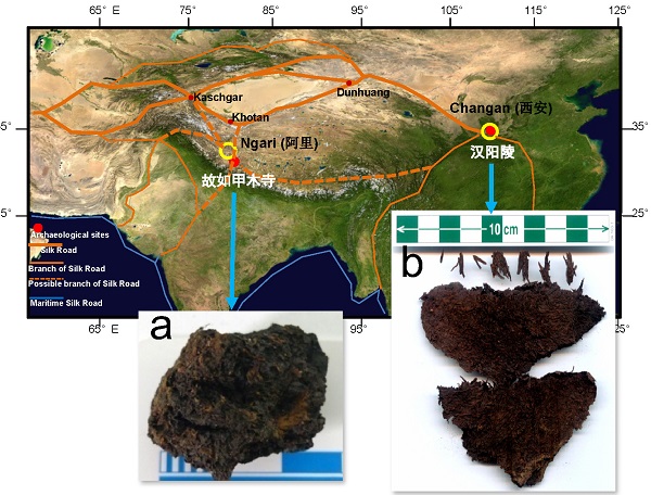 201601120230368636 201601120230368636