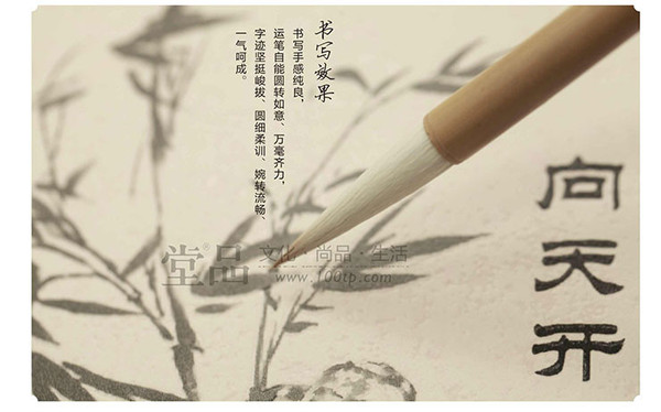 201403260259217570_x 201403260259217570_x