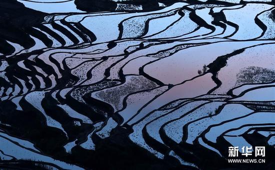 这是云南省红河州元阳县的哈尼梯田美景（1月12日摄）。