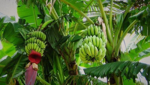 U595P4T8D7720667F107DT20160118100416 U595P4T8D7720667F107DT20160118100416