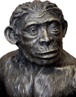 fc15b4ff4d621803dfdf51 fc15b4ff4d621803dfdf51