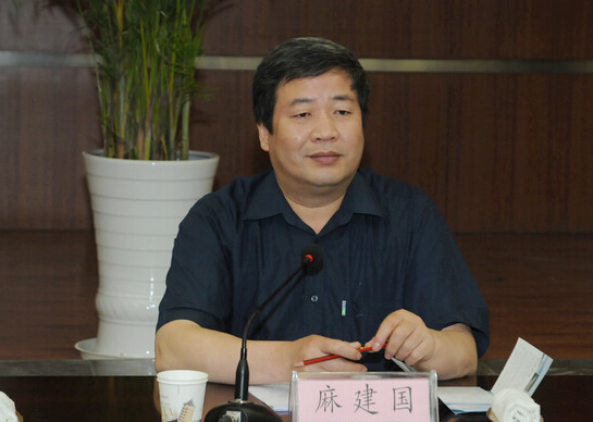 麻建国 麻建国