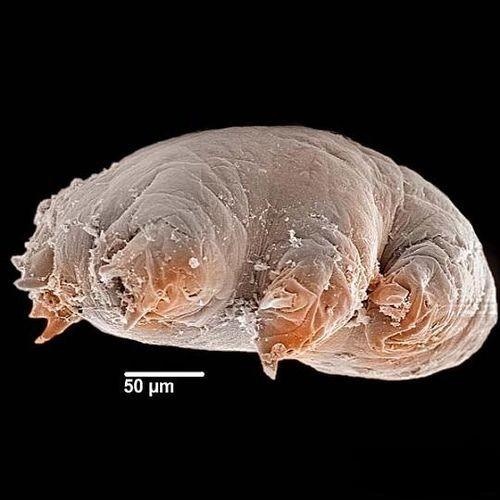 19300001374518131980842926816 19300001374518131980842926816