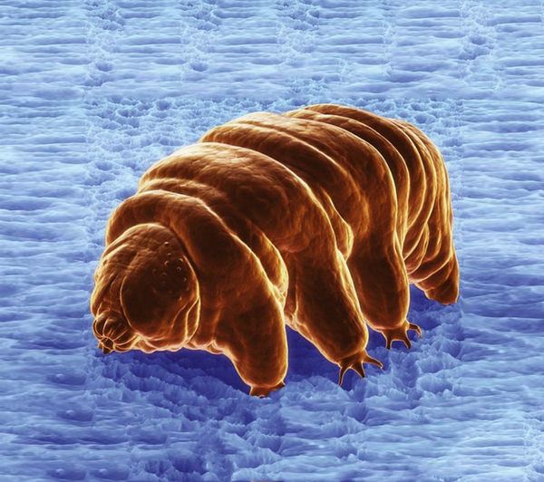 3108328167833461406 3108328167833461406