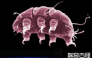 u=4109928758,1351196940&fm=21&gp=0 u=4109928758,1351196940&fm=21&gp=0