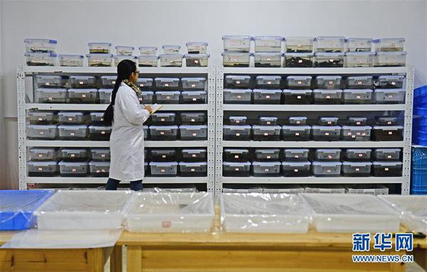 6b2b42eb-f4a9-4c65-a439-4af3e703c79d 6b2b42eb-f4a9-4c65-a439-4af3e703c79d