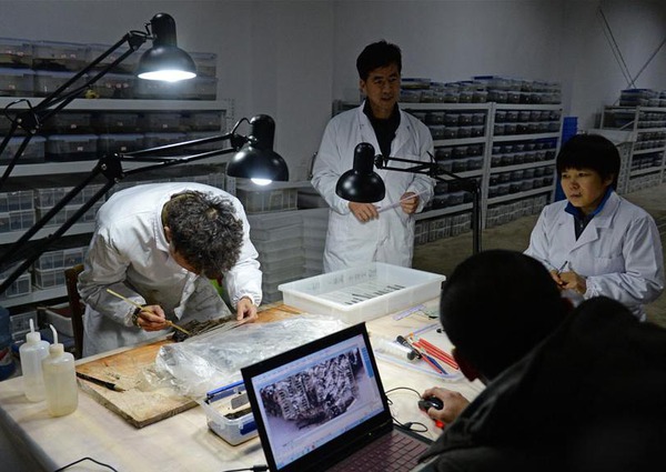 1453077807_mfile_569c353339387 1453077807_mfile_569c353339387