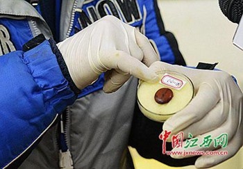 1450140792824 1450140792824