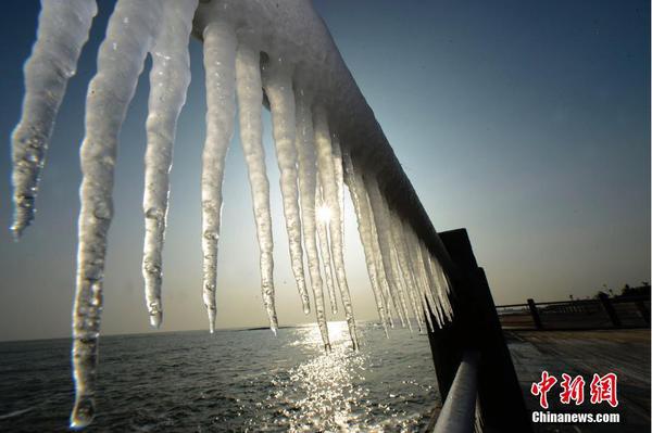 山东多地海边现冰凌景观1