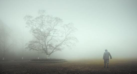 14196358983229778543 14196358983229778543