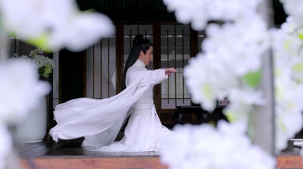 p2304870049 p2304870049