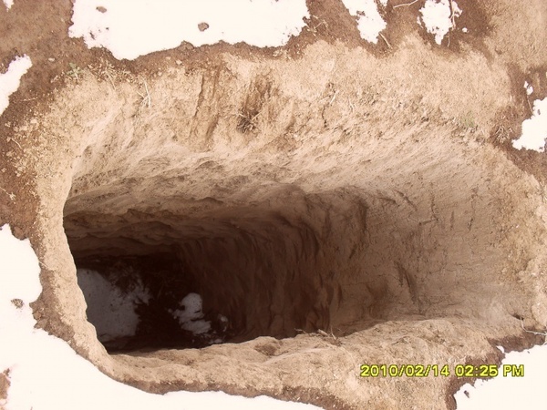 t01c1b8eff3aa459521 t01c1b8eff3aa459521