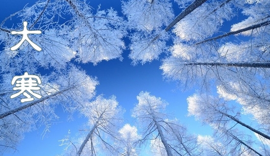 8b63d5925126656c8c59601e26e53e19 8b63d5925126656c8c59601e26e53e19