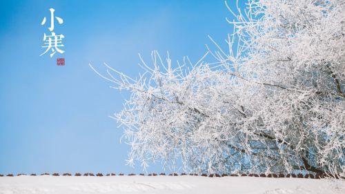 2361292_272246 2361292_272246