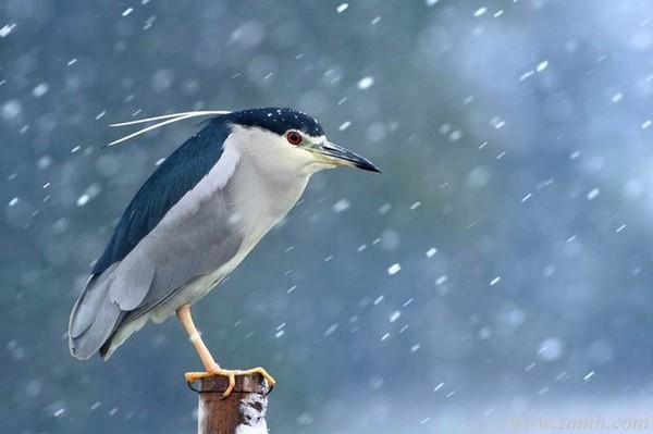 t01b23e72d2750307d6 t01b23e72d2750307d6