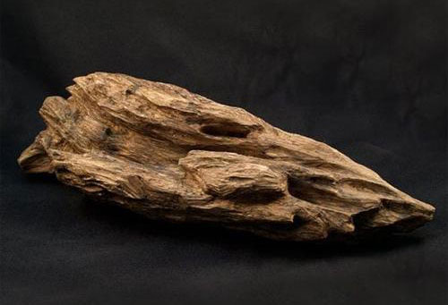 20131121134231_1718 20131121134231_1718