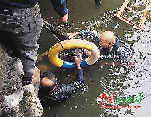 八旬老太意外落水 六旬老汉跳湖救人 八旬老太意外落水 六旬老汉跳湖救人