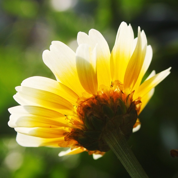 bd3eb13533fa828bda4c9a98ff1f4134970a5a59 bd3eb13533fa828bda4c9a98ff1f4134970a5a59