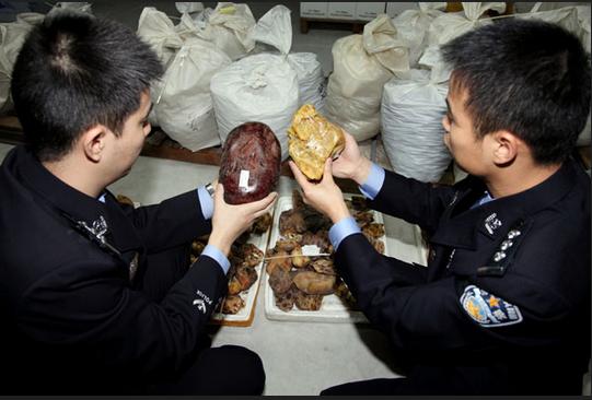 点击图片翻到下一页>> 上海破获走私大案