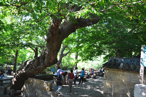 001c26zWgy6IV4nIhf4ba&690 001c26zWgy6IV4nIhf4ba&690