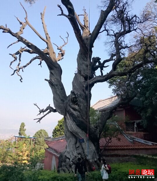 2855563638830792513 2855563638830792513