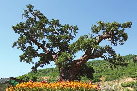 b5233a254ade466c315305cc45506531 b5233a254ade466c315305cc45506531