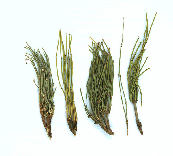 42166d224f4a20a45e7f2b6d90529822720ed032 42166d224f4a20a45e7f2b6d90529822720ed032