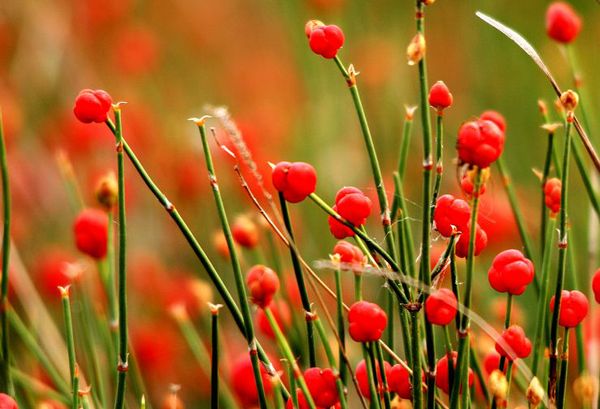 20090706_bb0feff0ef533529be94WG2OFHbbVmBm 20090706_bb0feff0ef533529be94WG2OFHbbVmBm