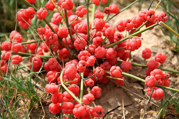 3275242829006692155 3275242829006692155