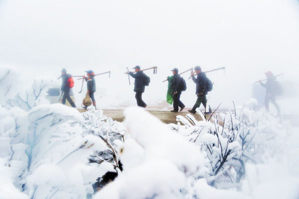 569e8349a40db 569e8349a40db