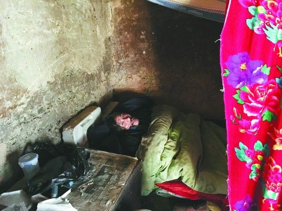 3499008302655720728 3499008302655720728