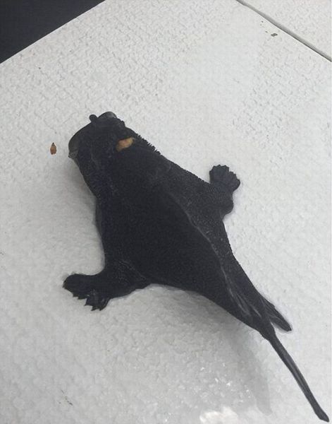 n2016011915350475 n2016011915350475