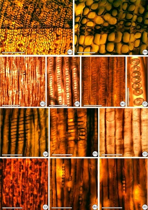 20151230091048499_92592 20151230091048499_92592