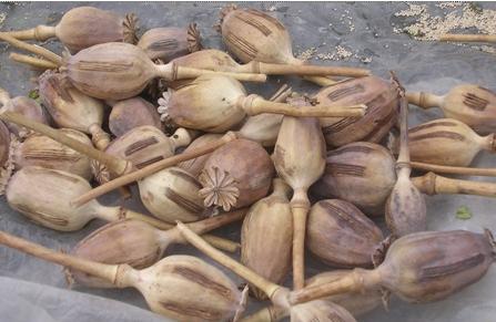 0b55b319ebc4b74537e405bccdfc1e178a821523 0b55b319ebc4b74537e405bccdfc1e178a821523