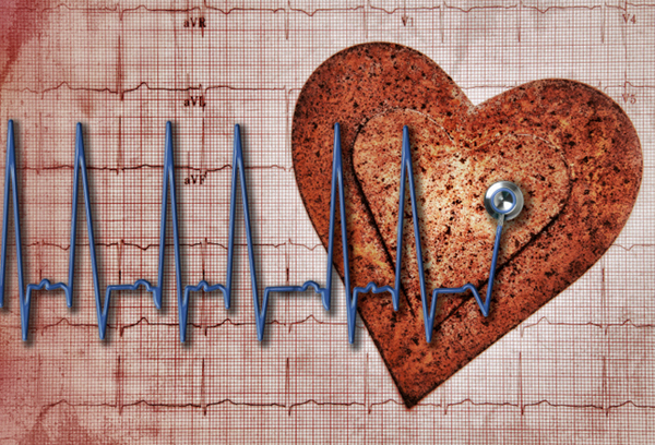 猴子换头手术成功2