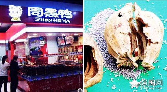 周黑鸭被曝含罂粟壳5 周黑鸭被曝含罂粟壳5