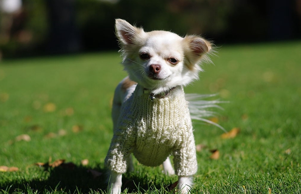 2014099_193949069_2 2014099_193949069_2