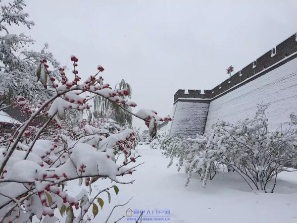 61220466_3 61220466_3