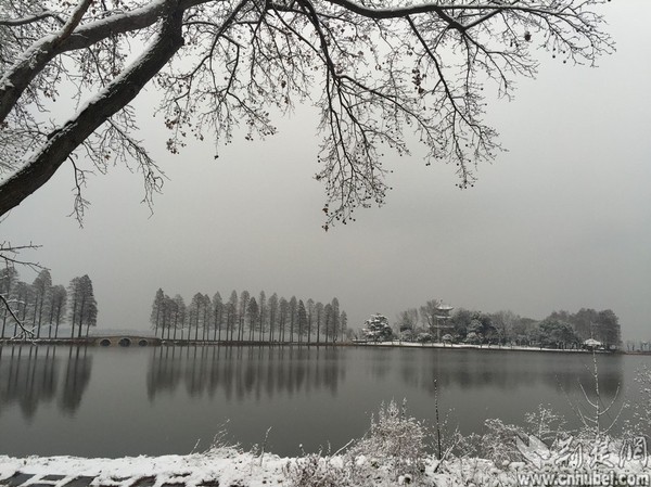 1117854412_14533715469991n 1117854412_14533715469991n