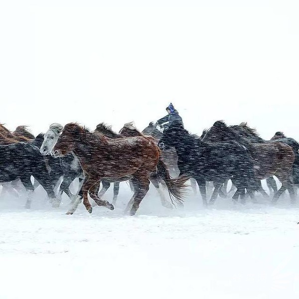 Cg-4rFaggMeIaQnLAAEmX-xSQY4AAPENAEWBwoAASZ3006 Cg-4rFaggMeIaQnLAAEmX-xSQY4AAPENAEWBwoAASZ3006